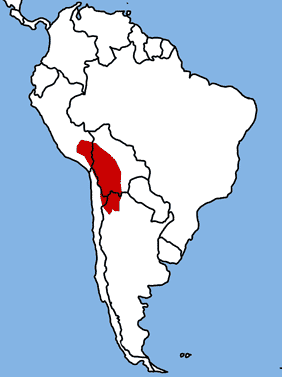 Bolivian Plateau